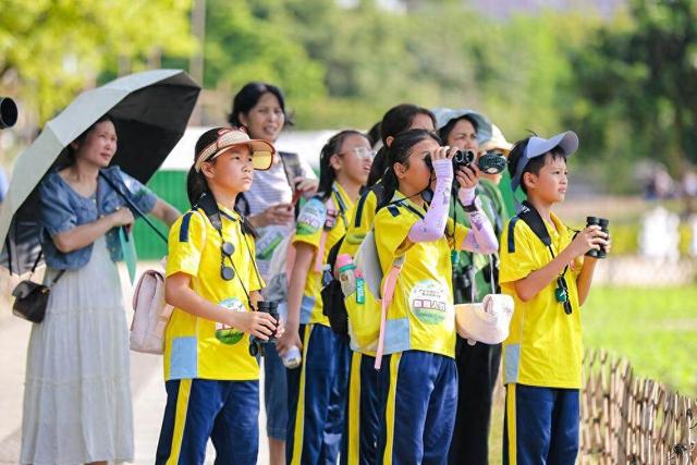 300学生赛观鸟，广州青少年观鸟比赛决赛走进海珠湿地