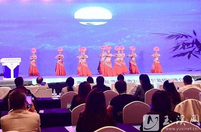 玉溪文旅康养及医药专场推介会架起国内外合作桥梁