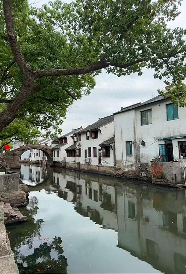 来到桂林，被人指着鼻子说“疯了”，到底谁才是不正常的那一个？