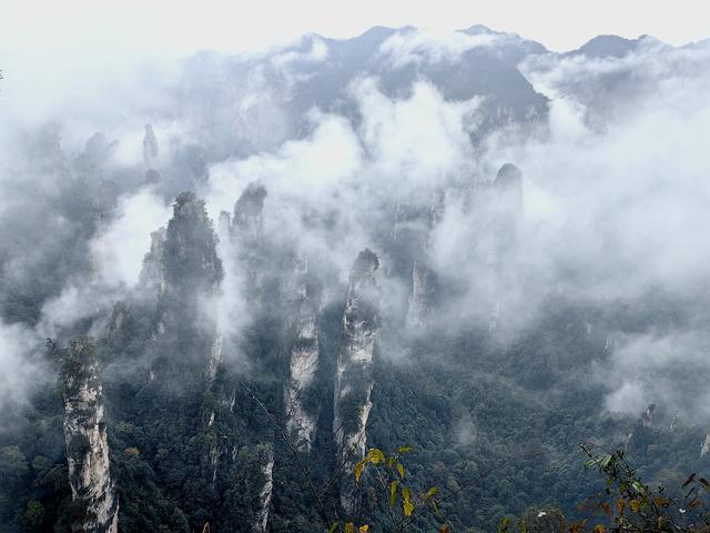 水墨画卷天子山