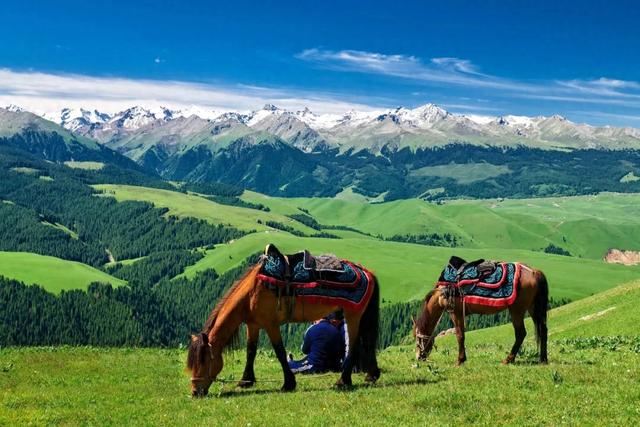 草原花海,塞外江南——超全新疆伊犁旅游攻略