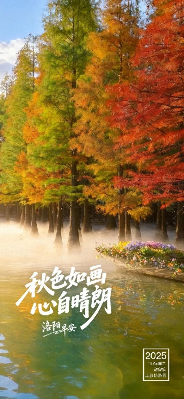 洛阳·早安|秋色如画 心自晴朗