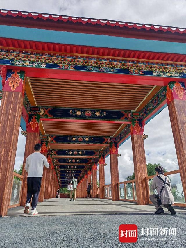 打卡拉萨河畔的生态廊道：繁花烂漫 四季有景｜辉煌60载 魅力新西藏
