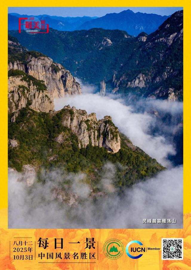 每日一景 | 灵峰晨雾雁荡山