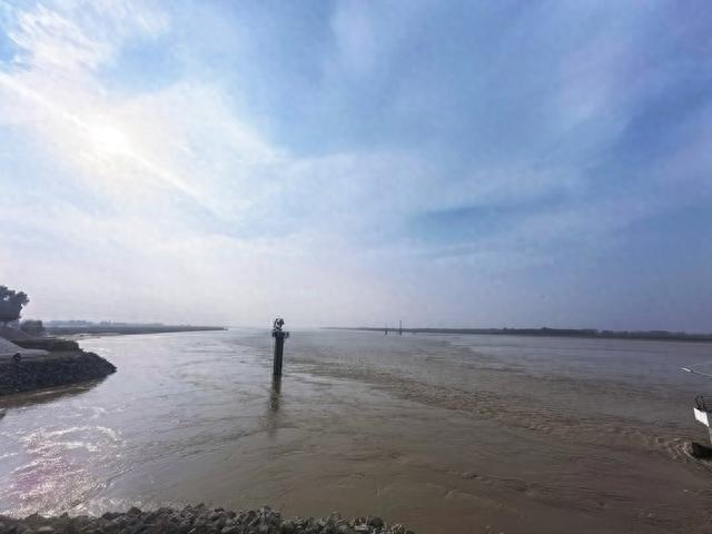 黄河入鲁第一县“听涛”记 | 万里同心，共护黄河