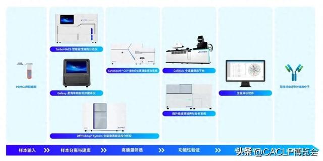 达普生物完成B2轮融资，赋能AI+生物技术深度融合
