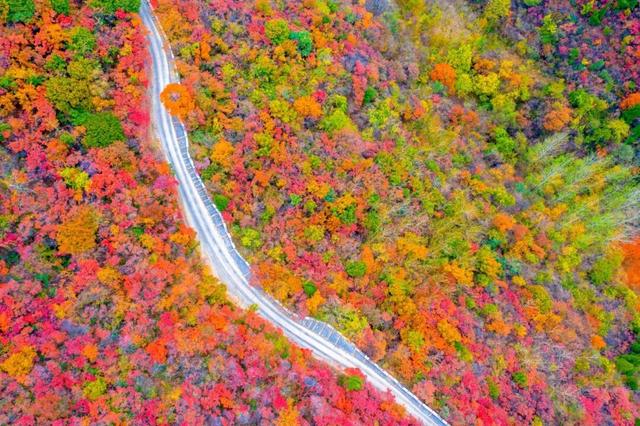 淄博6个登高爬山好去处推荐！