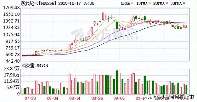 寒武纪业绩暴涨1332%，AI芯片行业迎变局