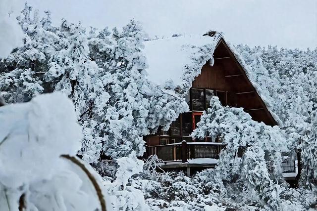 鲁甸之巅现绝美冰雪仙境！小雪至，雪满峰峦