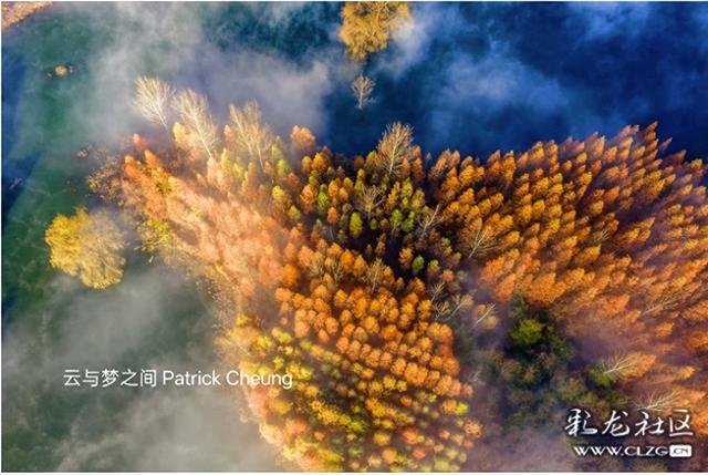 旅居云南，冬日梦境 ｜光有形状，雾有回声。这一刻的静谧与光影，美得让人窒息