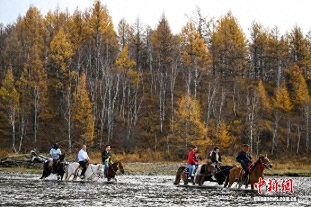 内蒙古阿尔山秋季旅游火爆 当地开启“宠客”模式