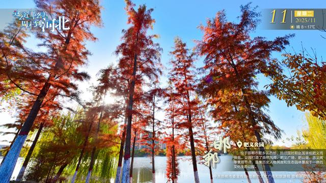 这么近 那么美 周末到河北 | 邯郸·肥义公园