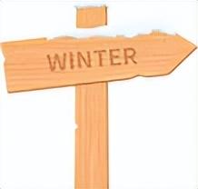 冬之云南 快意驰骋｜新霞客·旅居记