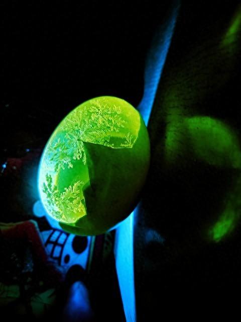 无优化绿珀（绿珀绿色琥珀的药用鉴别与收藏全解析）