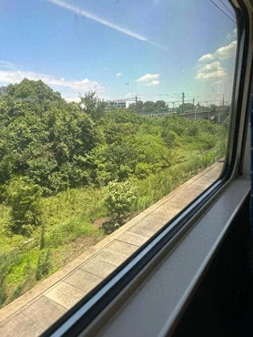 沿途风景拾贝