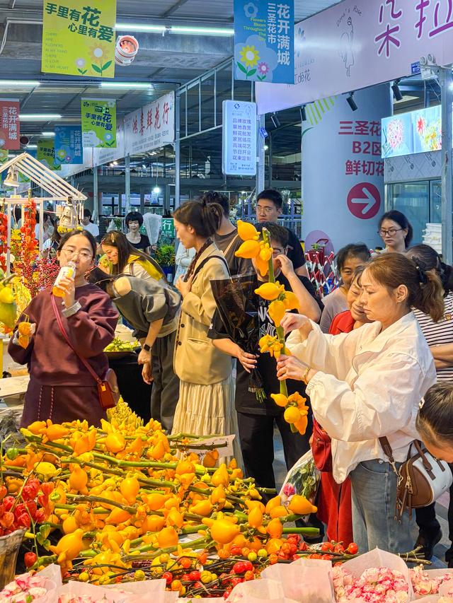 ​公园城市添新彩 国庆中秋耍成都丨三圣花乡场景焕新 家门口乐享双节