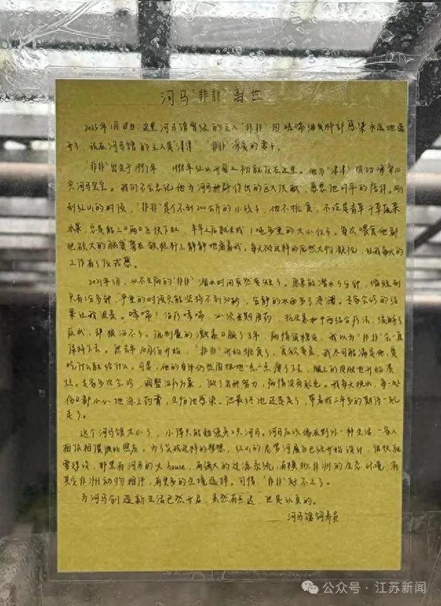 河马饲养员攻略（河马非非离世）