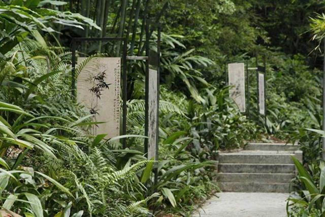 自然疗愈+健康睡眠，广州市越秀公园这条疗愈小径等你来体验→