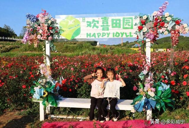 贵州威宁：千亩花海休闲娱乐好去处