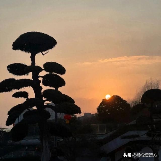 退休后跟着儿子到四川绵阳生活了一年，说实话，我羡慕这的生活了