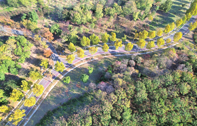 安庆秦潭湖湿地公园美景如画