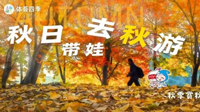 体荟四季｜秋日遛娃去哪？答案藏在这5座森林公园里