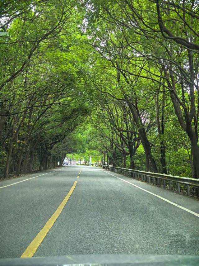 世间最讽刺的事，莫过于人走茶凉。网上有个姐妹分享了她的经历