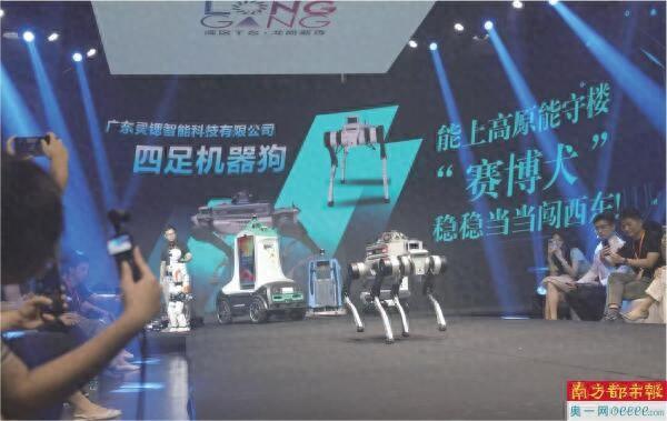 “赛博犬”T台亮相“穿戴屏”实力首秀
