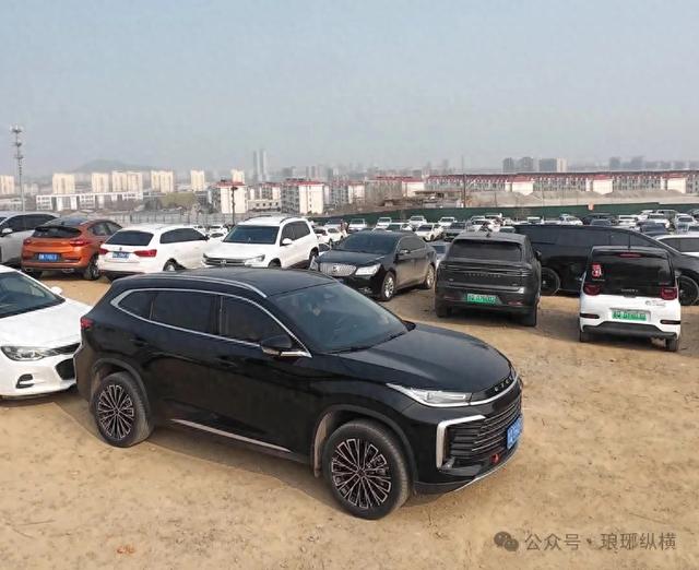 不收门票！临沂一景区火了，比收费的还值得去！