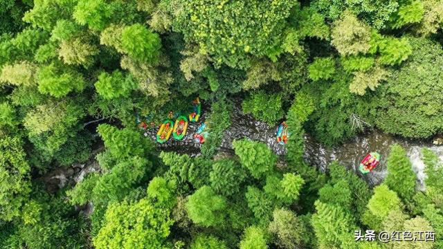 乐享清凉！宜丰九天旅游区漂流受热捧 文旅新业态拉动夏日消费
