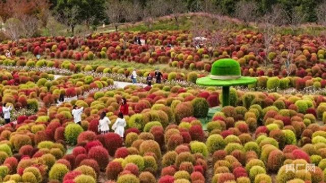 上海首届“旅超”迎报名热潮 全民共创激发冬日文旅消费