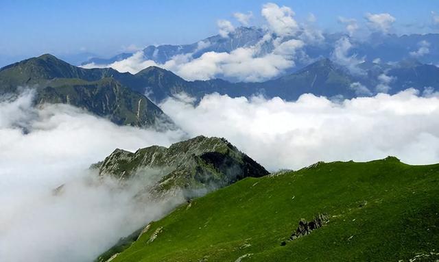 露思，青川除了葛根茶和山珍，还有超多美景，避暑纳凉，我在青川等你~