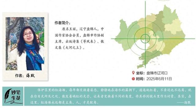 《辽宁一日》专刊|辽河入海流