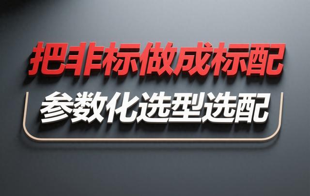 把非标做成标配：一套可复制的参数化选型落地方法论