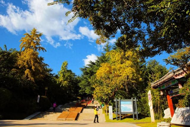 别再问威海去哪赏秋了！这俩公园本地人都去了