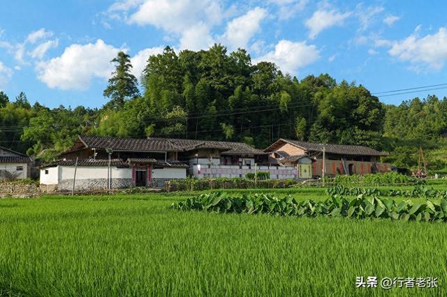 走遍福建古村落，罗宁古道上的八百年古村，藏在坑里叫“深坑”