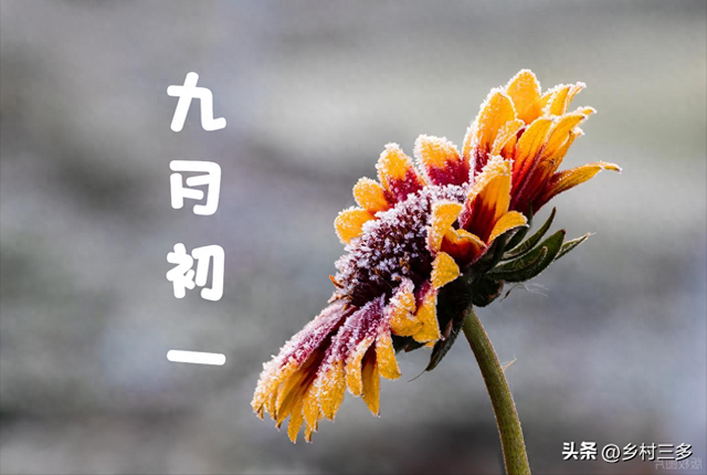 不是迷信！今日九月初一，最不能做的4件事，别忘了告诉家人！
