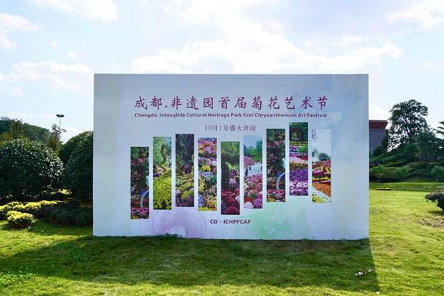 汇集百种名菊 来非遗博览园解锁“花花的世界”
