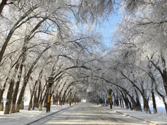 吉木萨尔县：北庭湿地成冬日打卡新地标