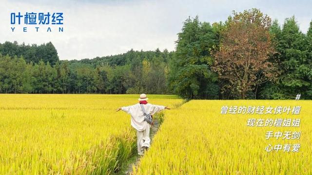 十年千倍回报 深圳式创新的胜利