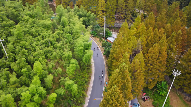 4860名骑友共赴安吉秋日之约，车轮转出商旅体融合新动能