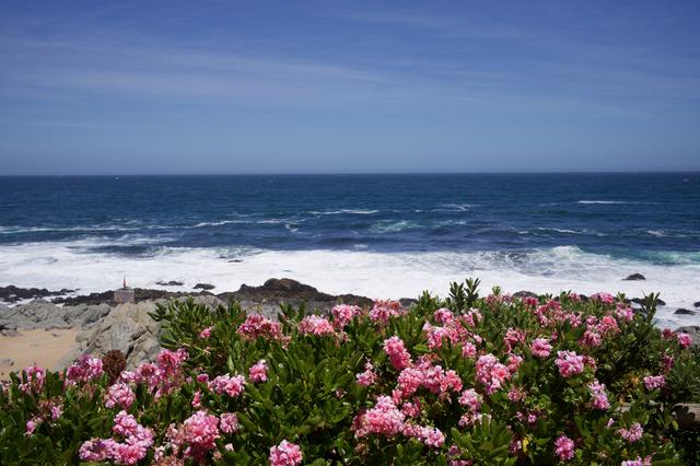 行走拉美手记丨在黑岛的波涛中读懂聂鲁达