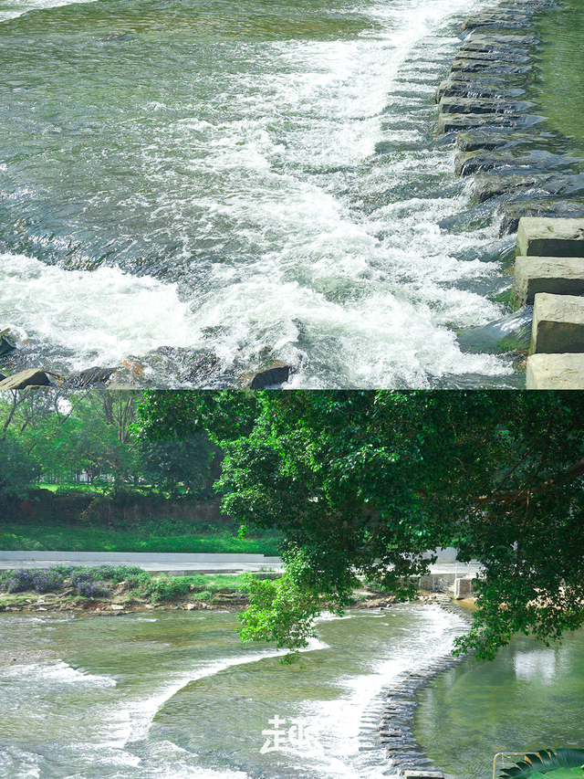 打卡新去处！50%的深圳人还不知道！