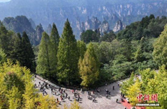 “国际张”风靡全世界 张家界入境游客5年增长59倍