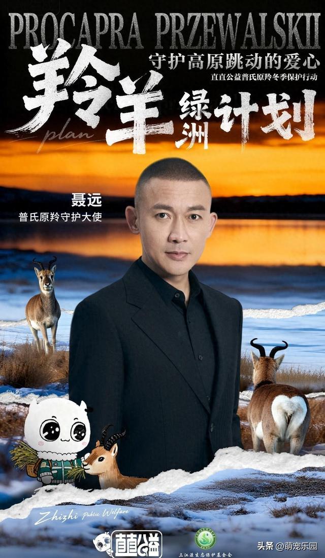 三江源守护者救助普氏原羚，心形标记小精灵面临生存危机