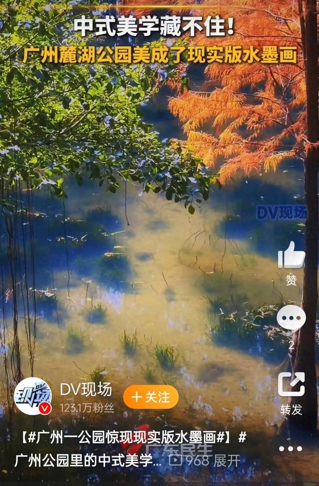广州公园藏着一幅活水墨画：中式美学原来在身边