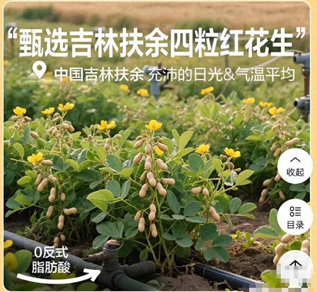 小公司营销成鸡肋？避开四大误区，“上山下乡”破局！