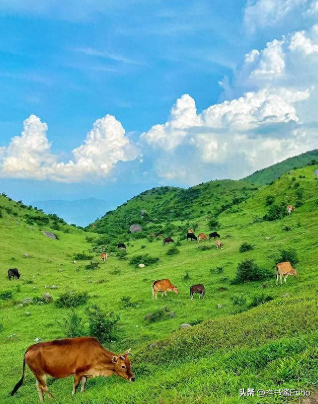 无需请假！就在广东！广东有自己的武功山！还有不要钱的杜鹃花海