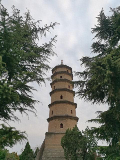 陕晋豫三省交界有座小城，黄河九曲，让无数人流连忘返