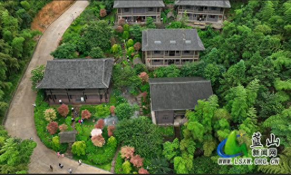 蓝山县：民宿经济火了景区富了民
